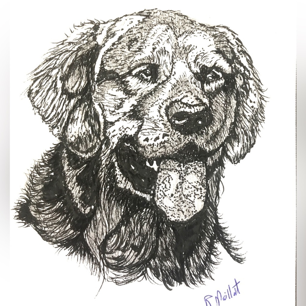 Original drawing in pen on paper. Dog. 5.5”x8” signed by artist. Without frame.